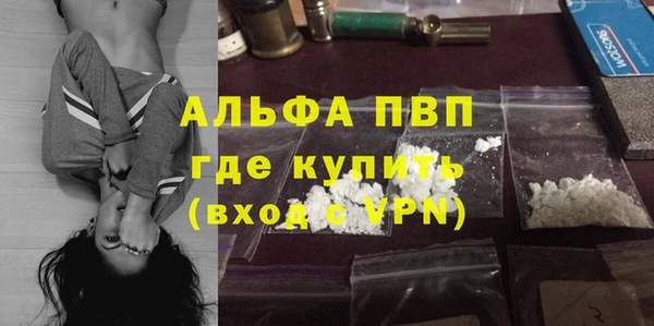 индика Карпинск